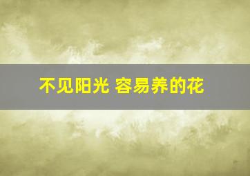 不见阳光 容易养的花